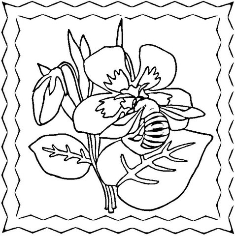 Violet coloring pages printable for free download