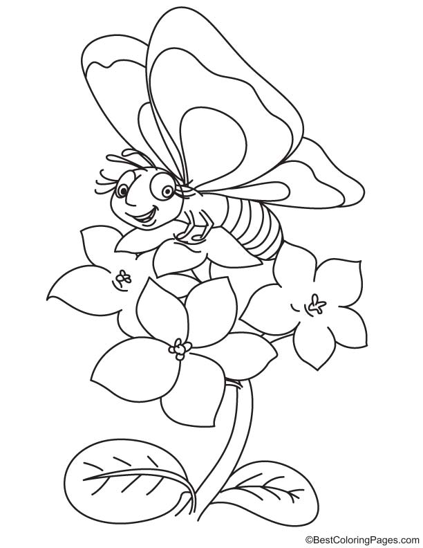 Bee on violet coloring page download free bee on violet coloring page for kids best coloring pages