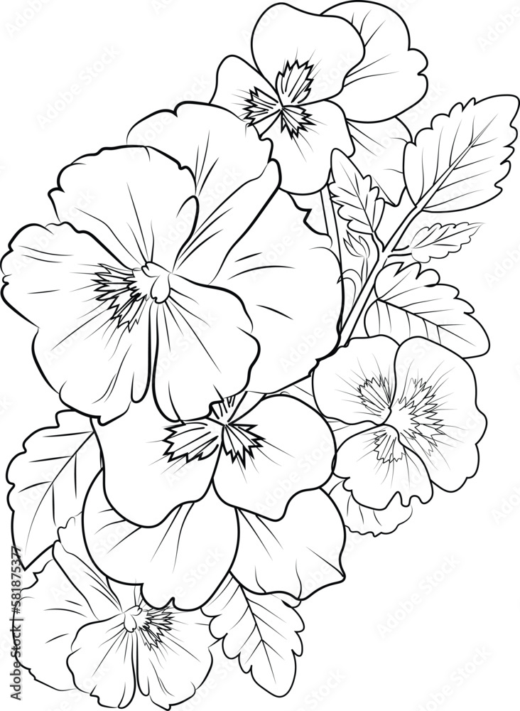 Sketch contour bouquet of pansy flowers sketch violet flower drawing flower cluster drawing easy flower coloring pages flower coloring page for kids purple pansies drawing vector