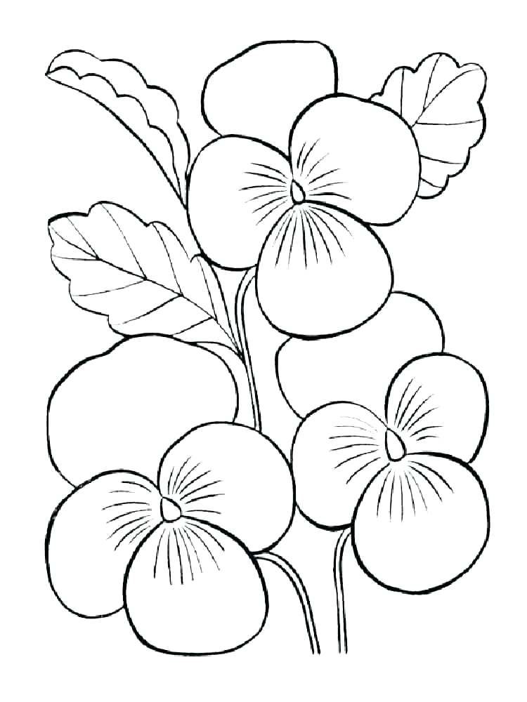 Violet coloring pages