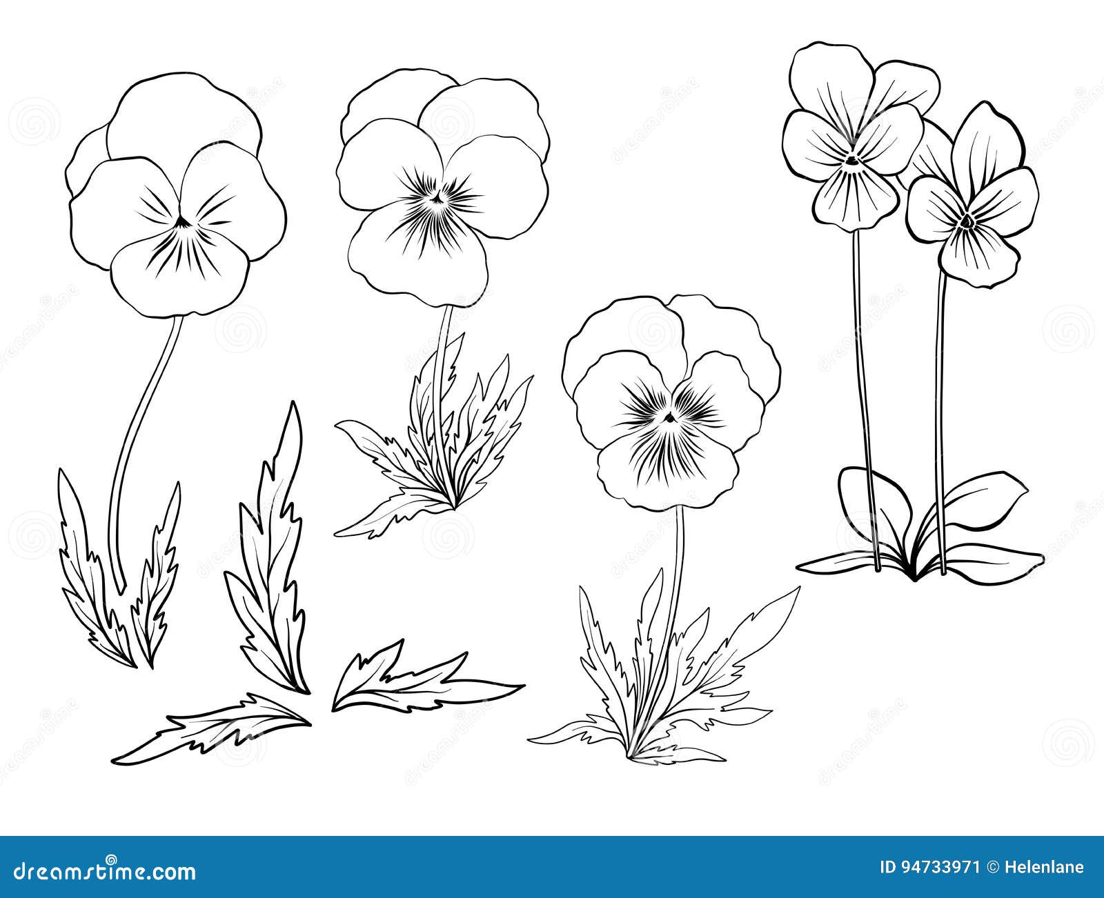 Violet flowers set of outline flowers stock vector