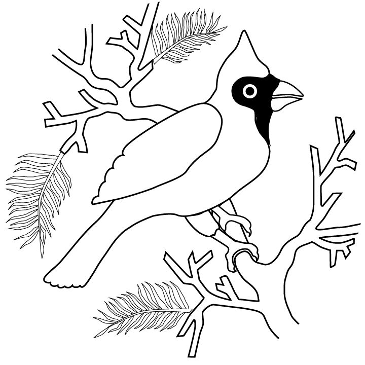 Free cardinal coloring pages download bird coloring pages coloring pages valentines day coloring page