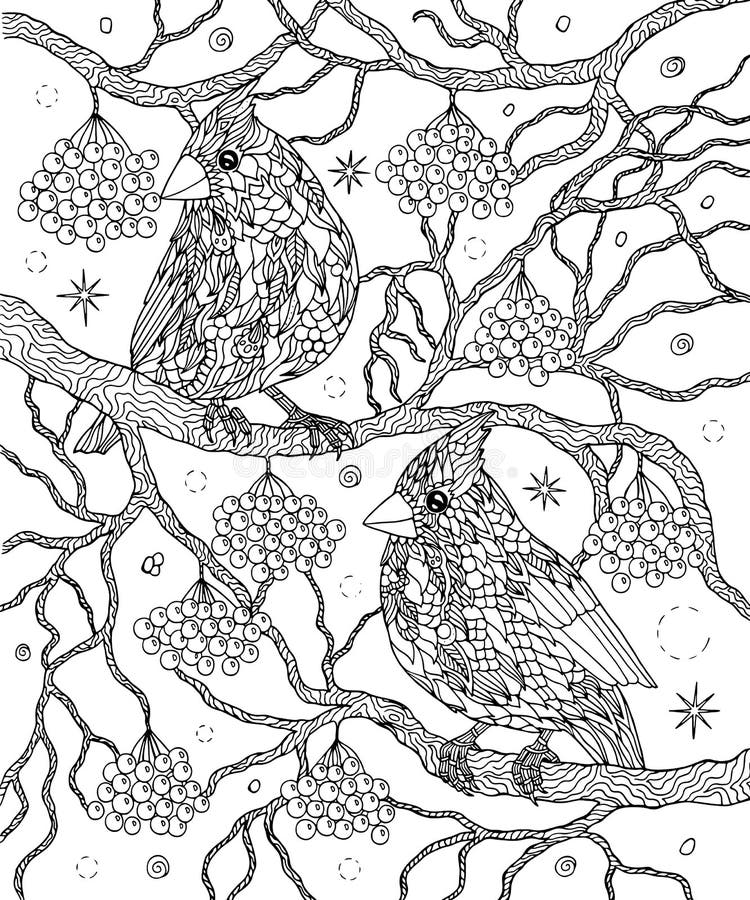 Cardinal coloring page stock illustrations â cardinal coloring page stock illustrations vectors clipart