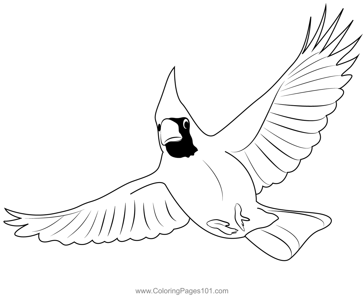 Cardinal flying coloring page coloring pages color coloring pages for kids