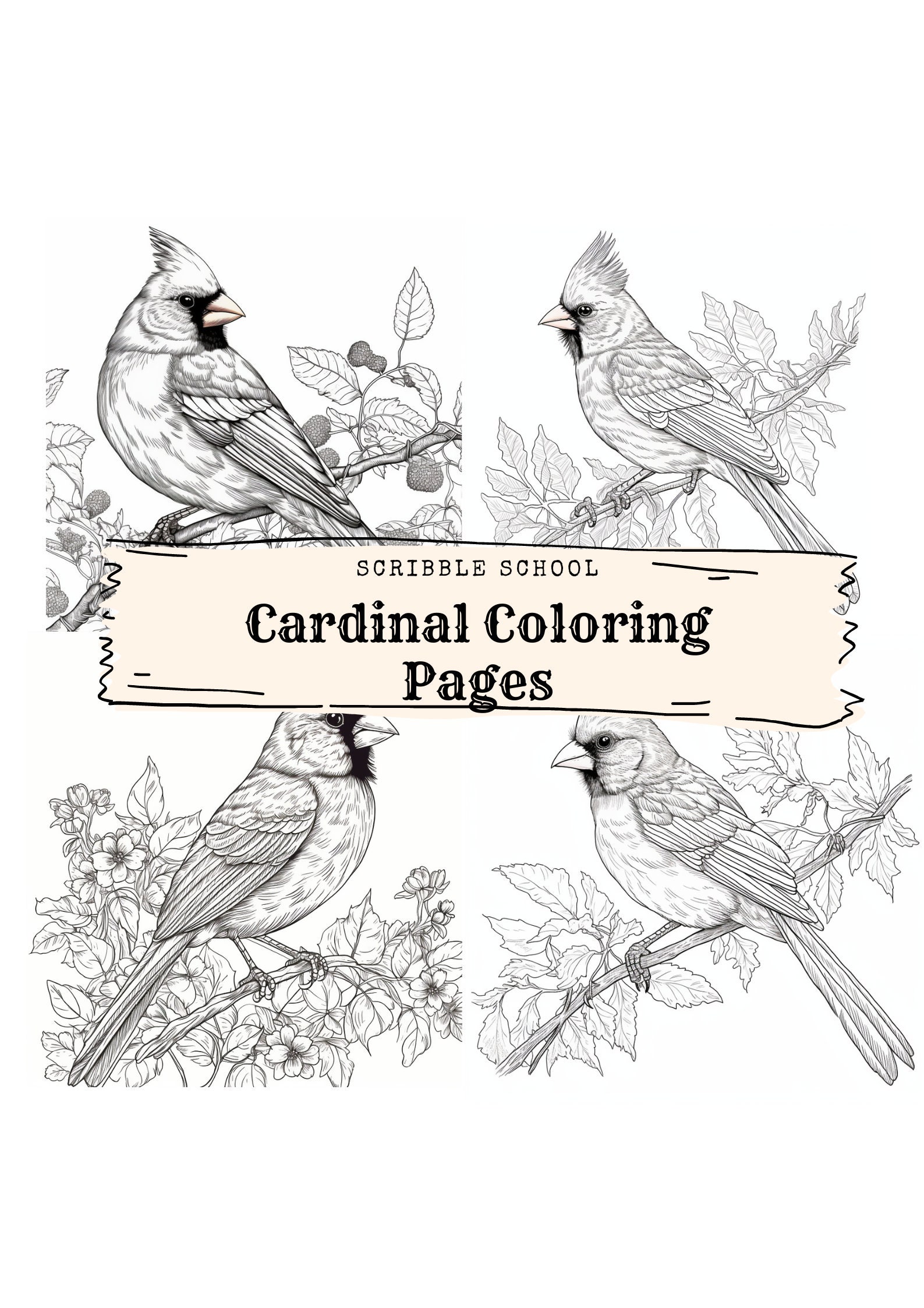 Cardinal coloring page