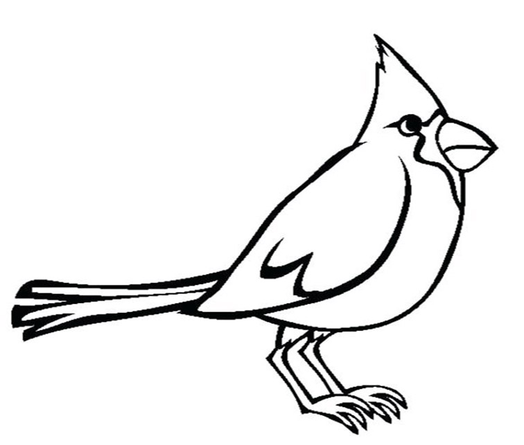 Cardinal coloring pages