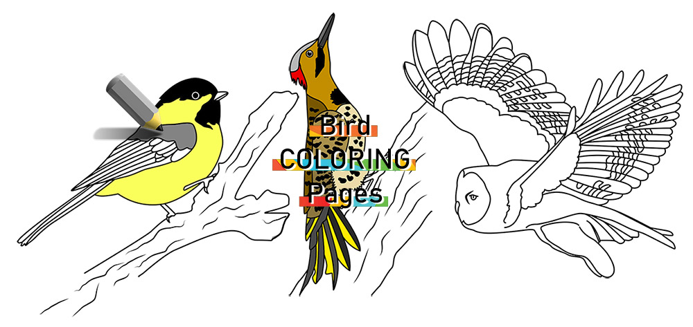 Bird coloring pages