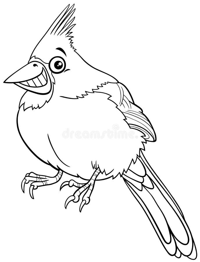 Cardinal coloring page stock illustrations â cardinal coloring page stock illustrations vectors clipart