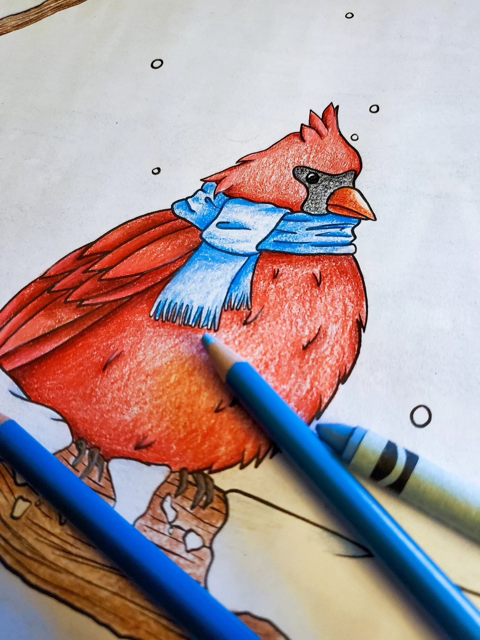 Cardinal bird coloring page printable