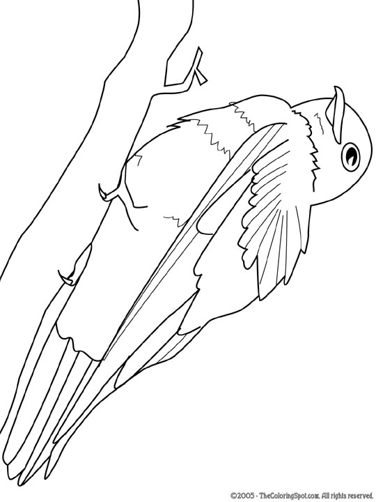 Purple martin coloring page audio stories for kids free coloring pages colouring printables