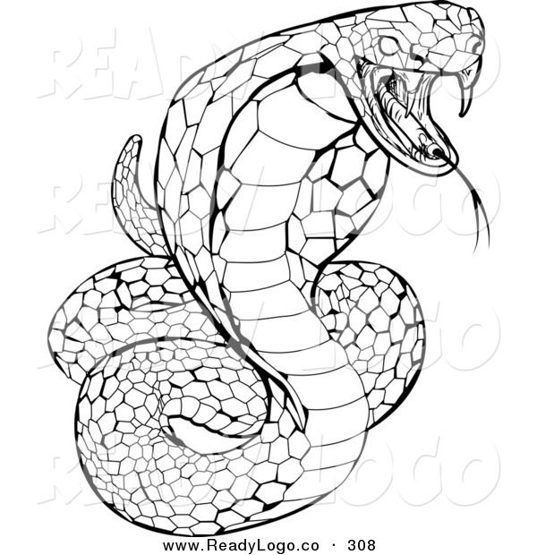 Viper snake coloring page sketch coloring page snake coloring pages king cobra snake snake drawing