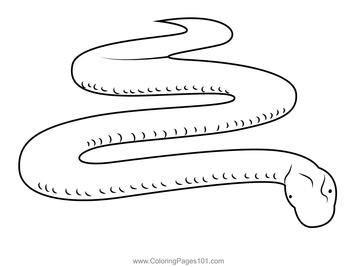 Norwegian viper coloring page snake coloring pages coloring pages coloring pages for kids