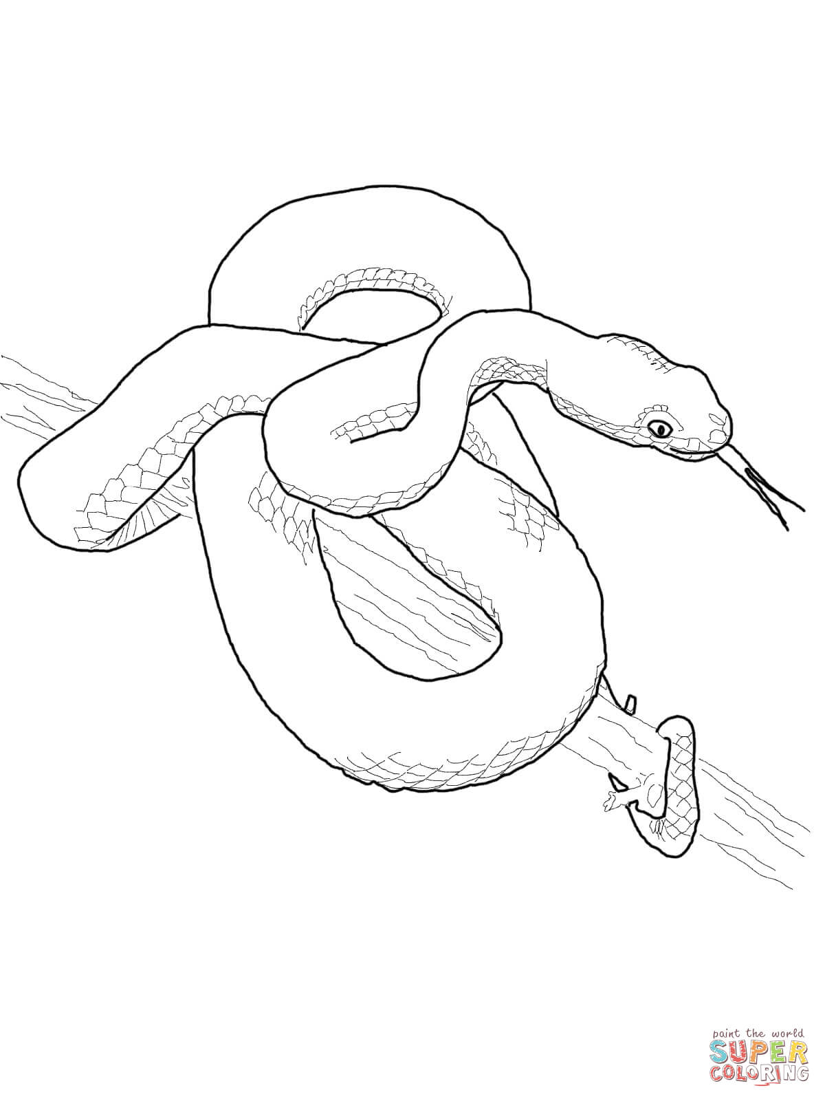 Pit viper coloring page free printable coloring pages