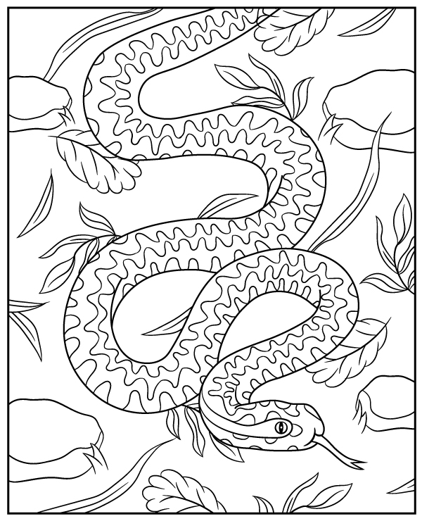 Wild viper coloring page snake