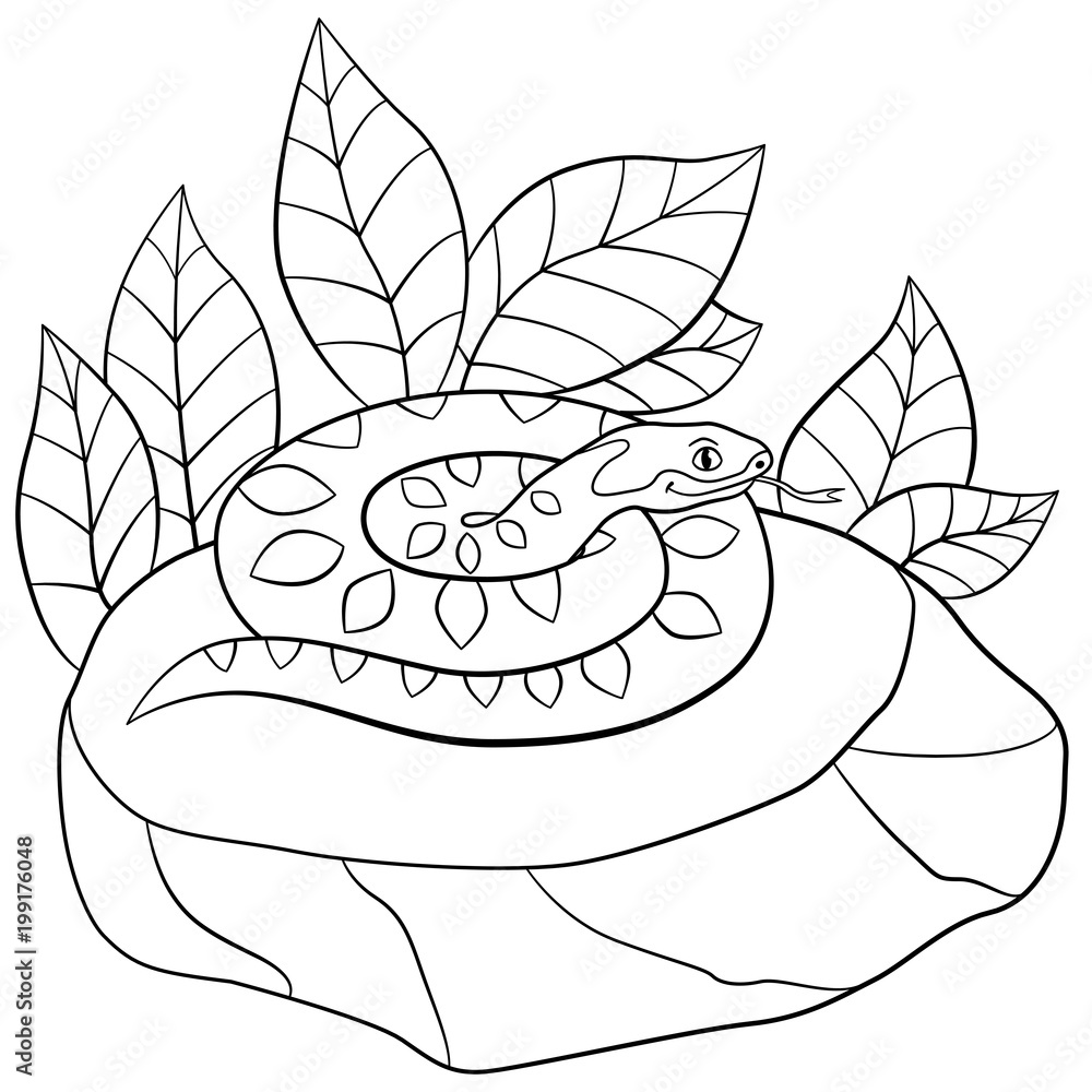 Coloring pages cute viper lies on the stone vector