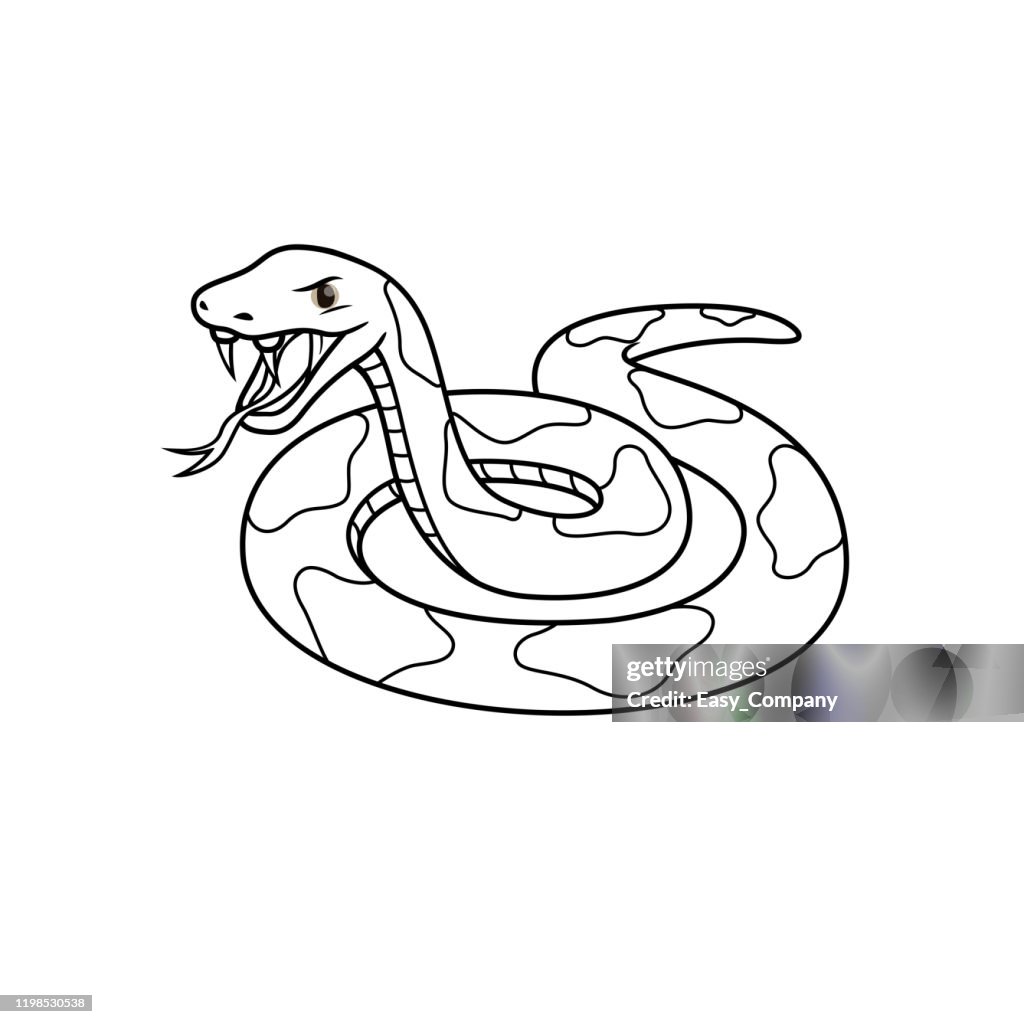 Vector illustration of viper isolated on white background for kids coloring book high