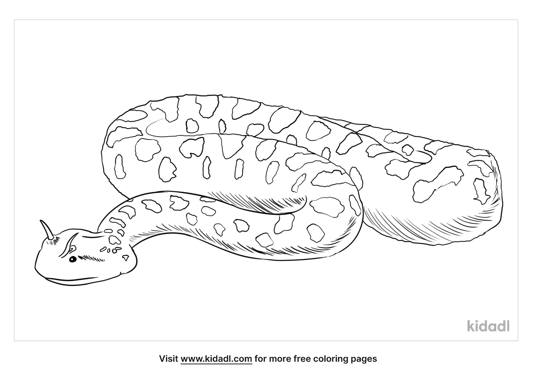 Free horned viper coloring page coloring page printables