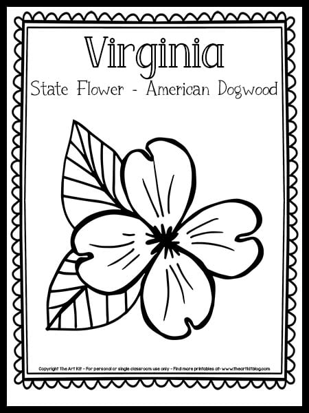 Virginia state flower coloring page american dogwood free printable â the art kit