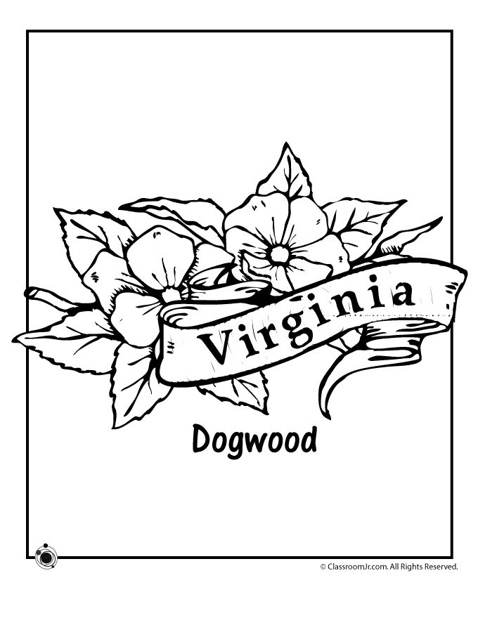 Virginia state flower coloring page woo jr kids activities flower coloring pages coloring pages color