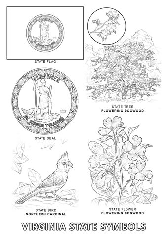 Virginia state symbols coloring page state symbols flag coloring pages free printable coloring pages