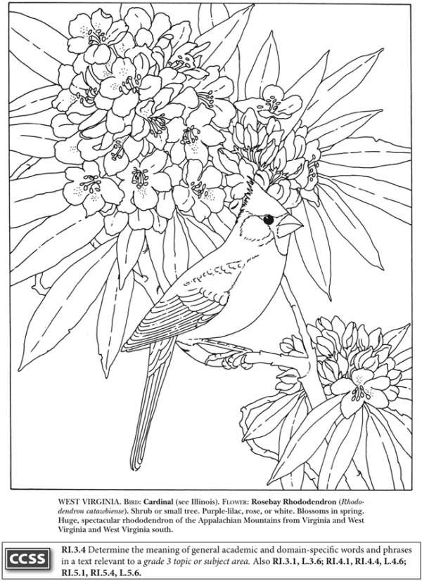 State bird coloring pages â