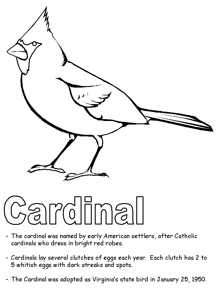 Cardinal coloring page