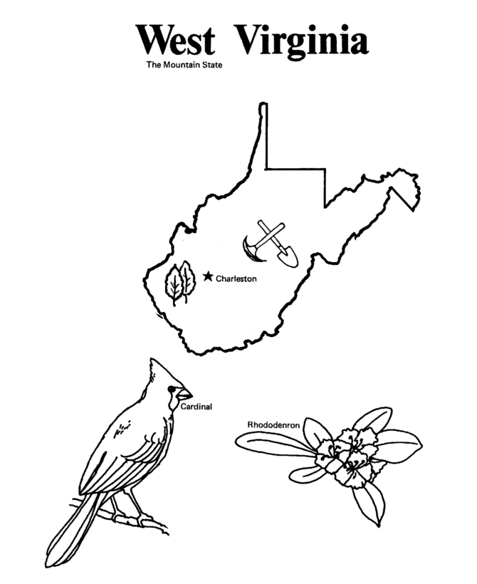 State outline shape and demographic map