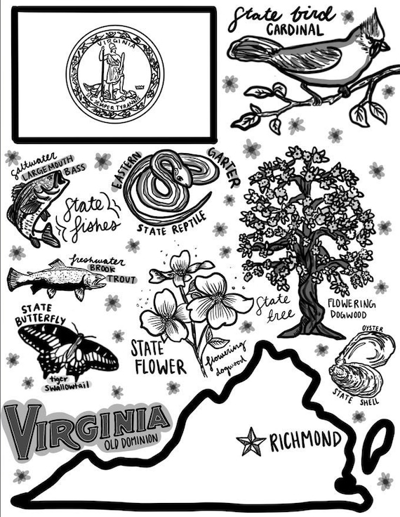 Virginia coloring page