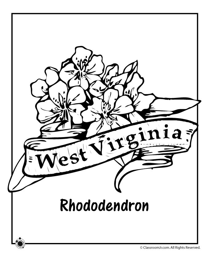 West virginia state flower coloring page woo jr kids activities west virginia state flower flower coloring pages coloring pages