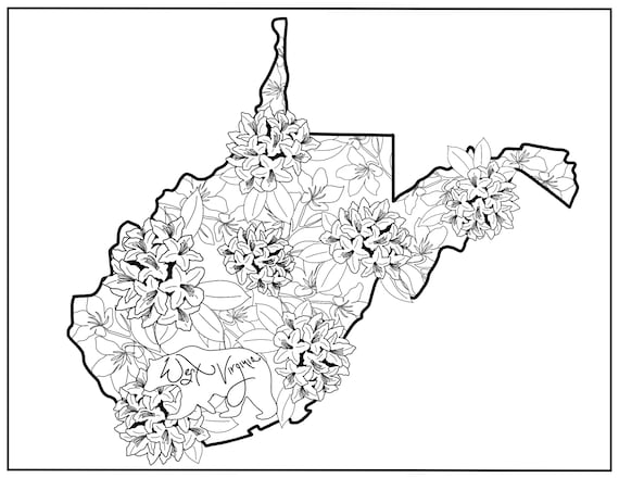 State coloring page west virginia flowers state flower