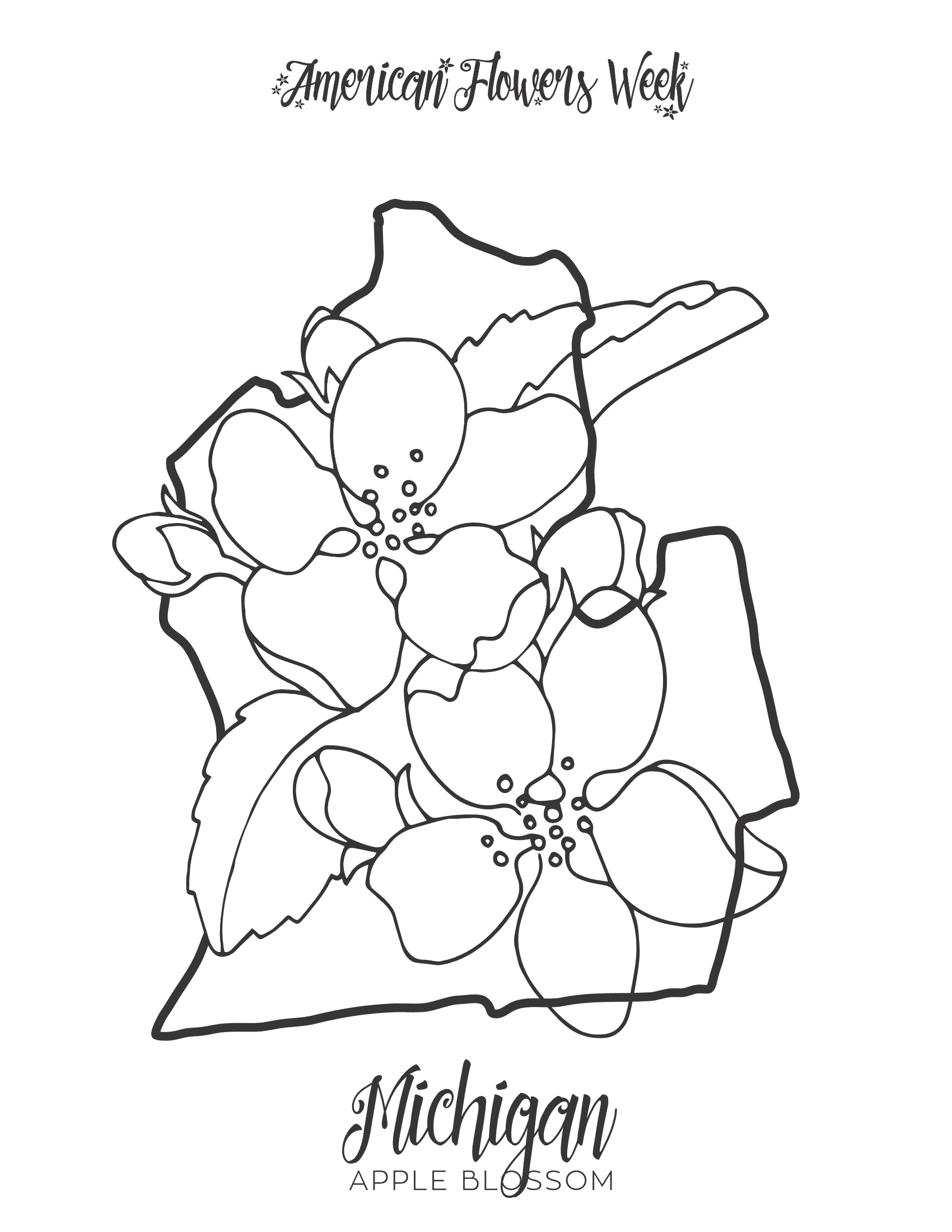 State flowers â free coloring pages â american flowers week