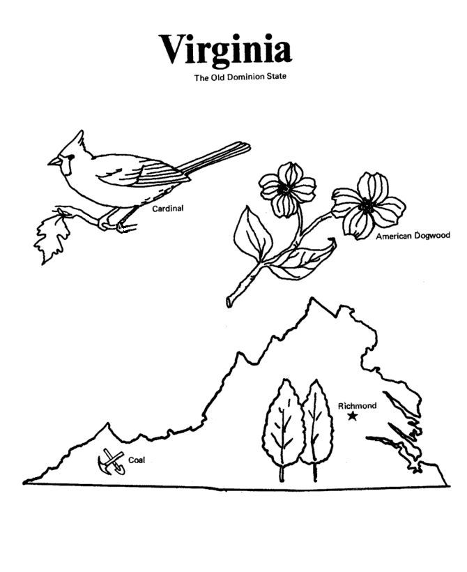 Map of virginia coloring pages coloring pages bird coloring pages virginia