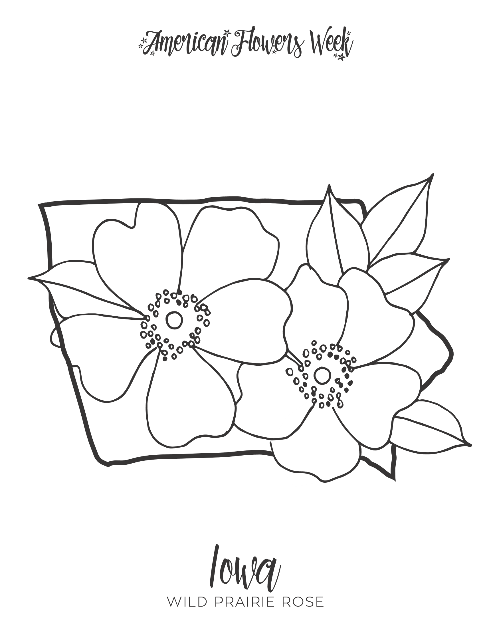 State flowers â free coloring pages â american flowers week