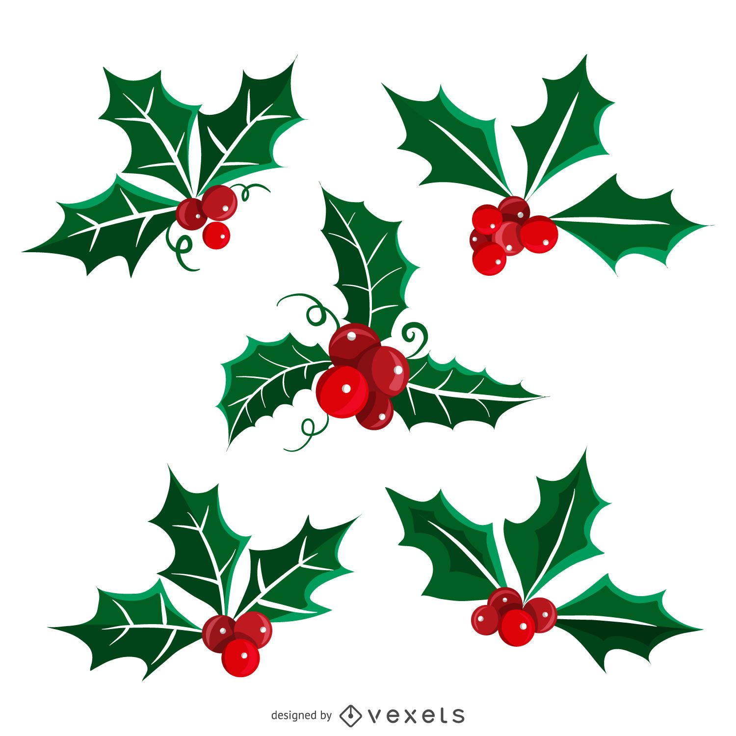 Mistletoe vector graphics to download