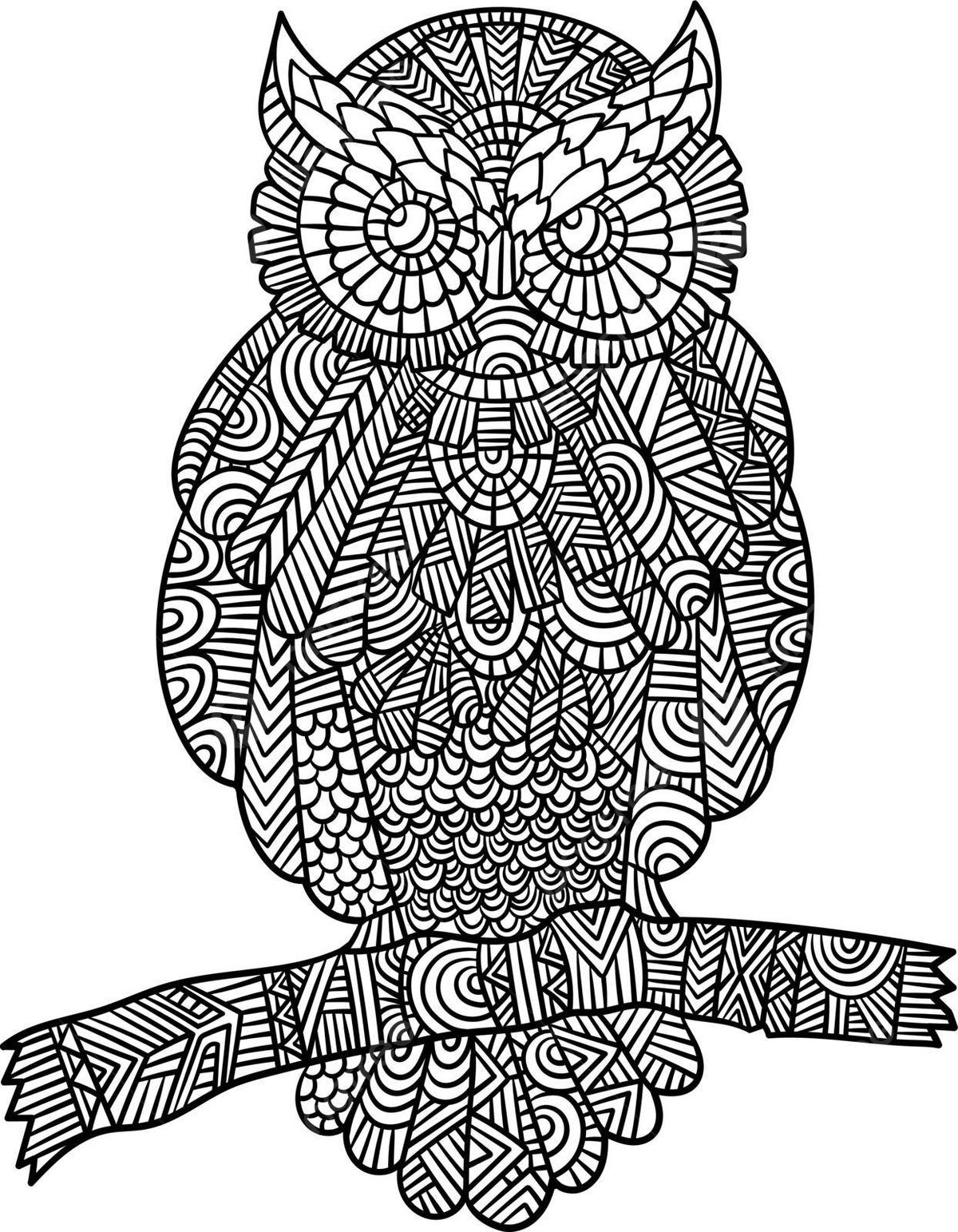 Owl mandala coloring pages for adults binocular vision sharp talons colouring vector binocular vision sharp talons colouring png and vector with transparent background for free download