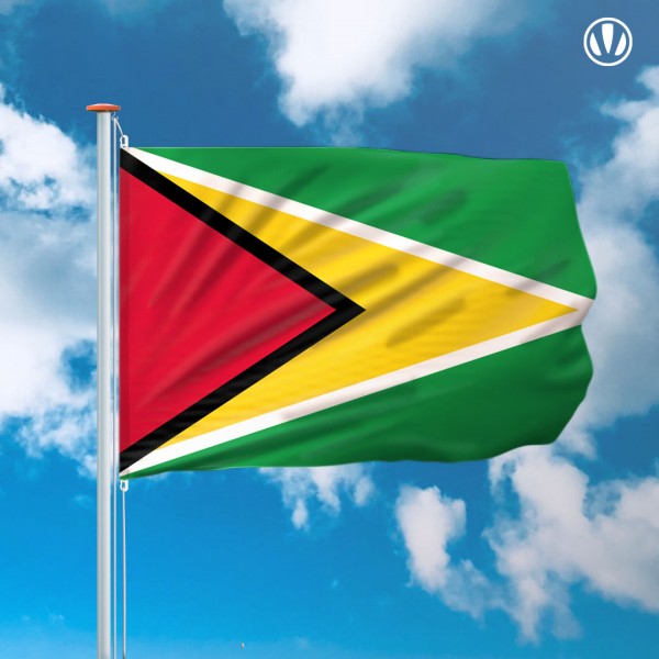 Vlaggen guyan guyanese vlag xcm voordelig kopen bij