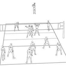 Volleyball coloring pages