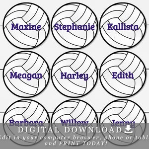 Volleyballs with editable names text printable cupcake toppers tags diy template