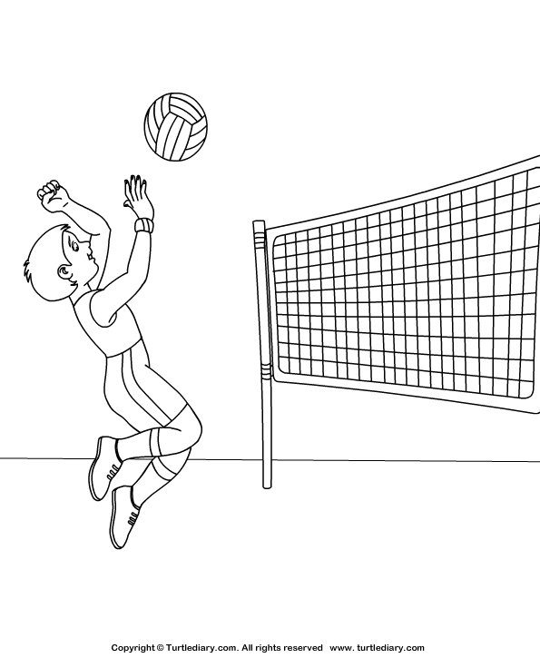 Volleyball coloring sheet turtle diary