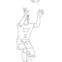 Volleyball coloring pages