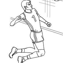 Volleyball coloring pages