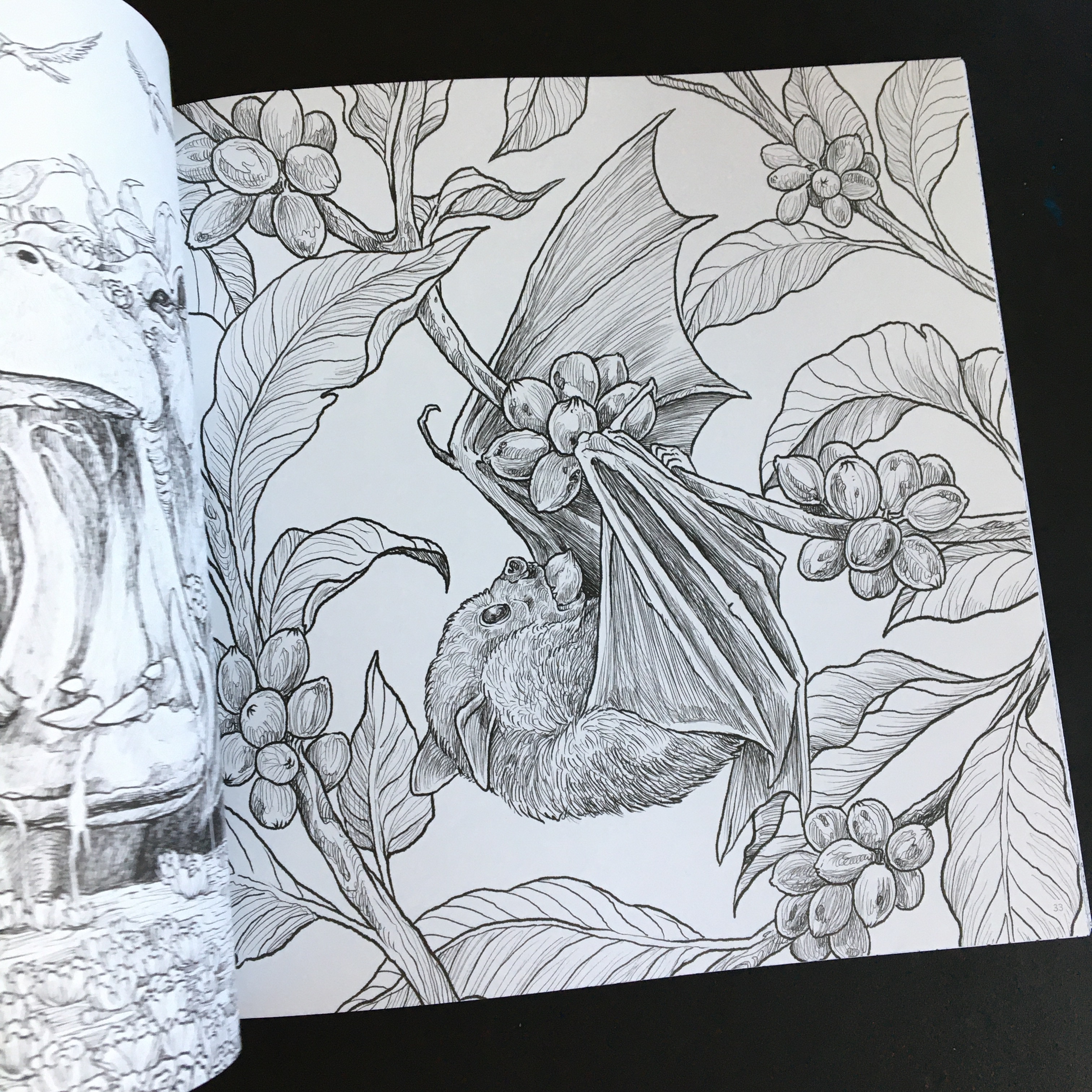 The fragile world by kerby rosanesâlook at this gorgeous coloring book â dolce bellezza