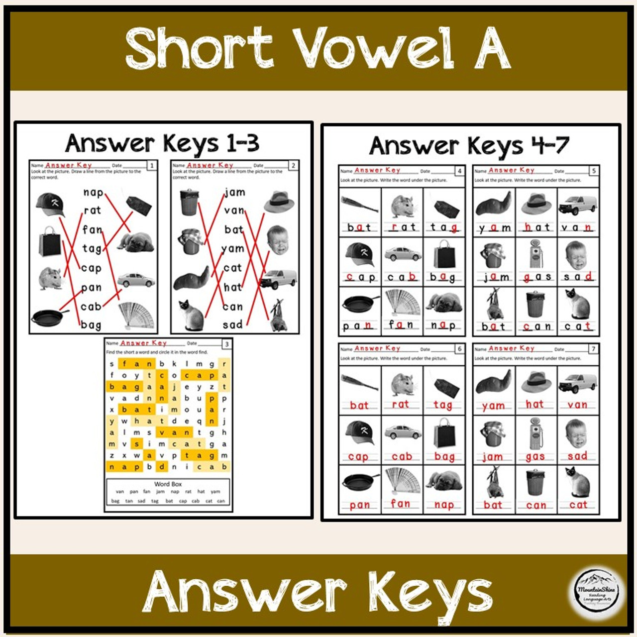 Cvc short vowel a bundle make