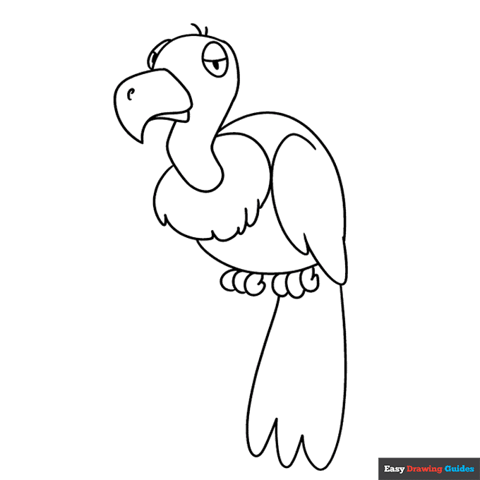 Vulture coloring page easy drawing guides