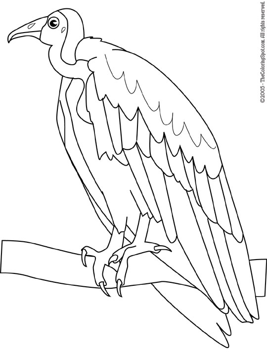 Vulture coloring page audio stories for kids free coloring pages colouring printables