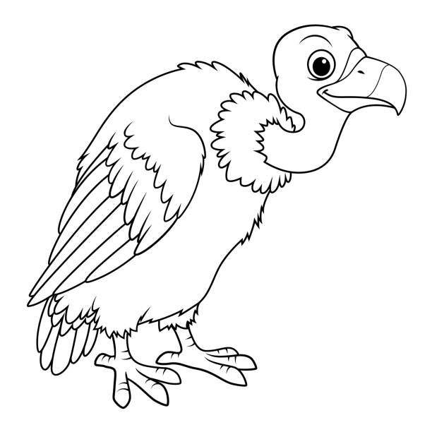 Vulture coloring page stock illustrations royalty