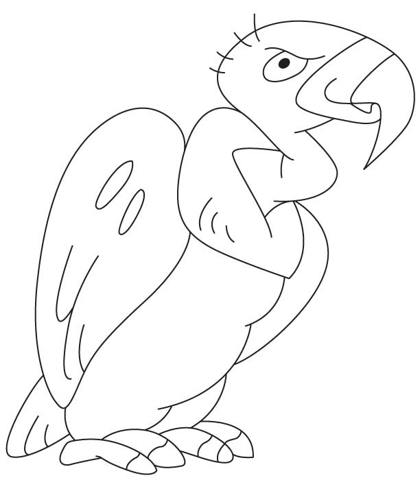 Cartoon vulture coloring page download free cartoon vulture coloring page for kids best coloring pages