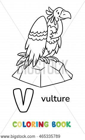 Vulture animals abc vector photo free trial bigstock