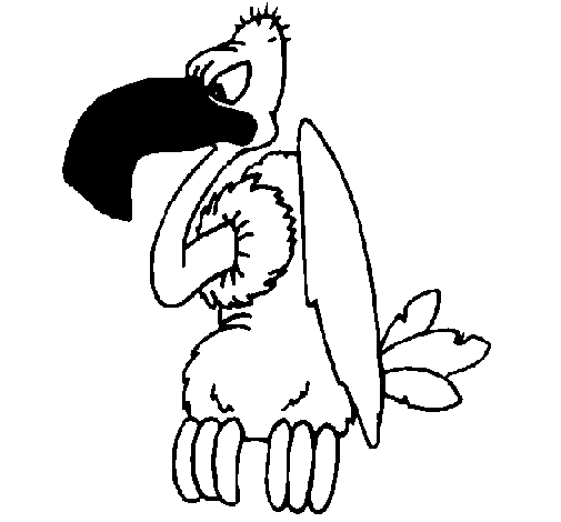 Vulture coloring page