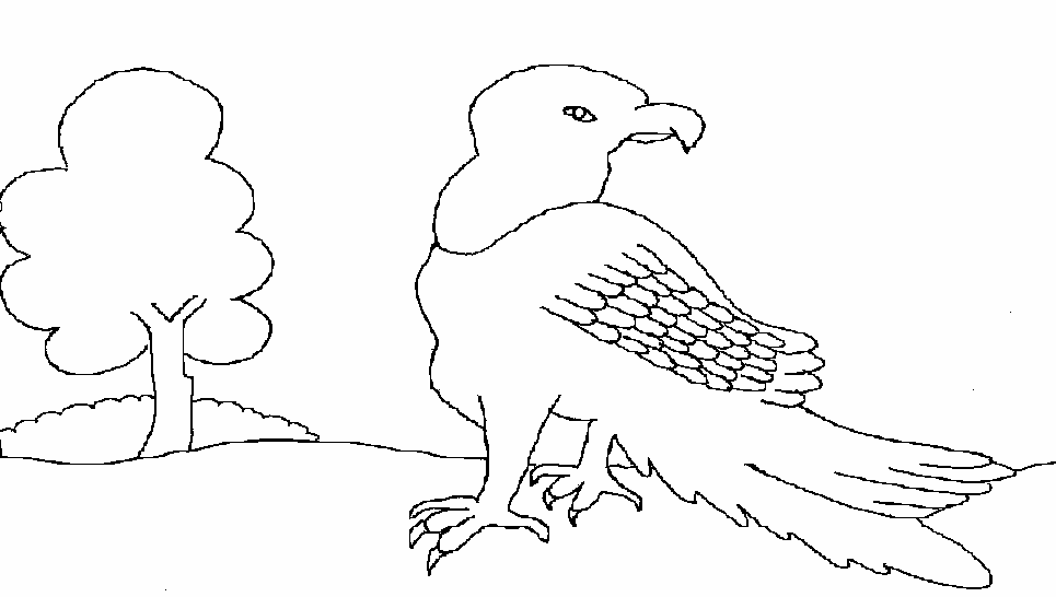 Vulture printable coloring page for kids